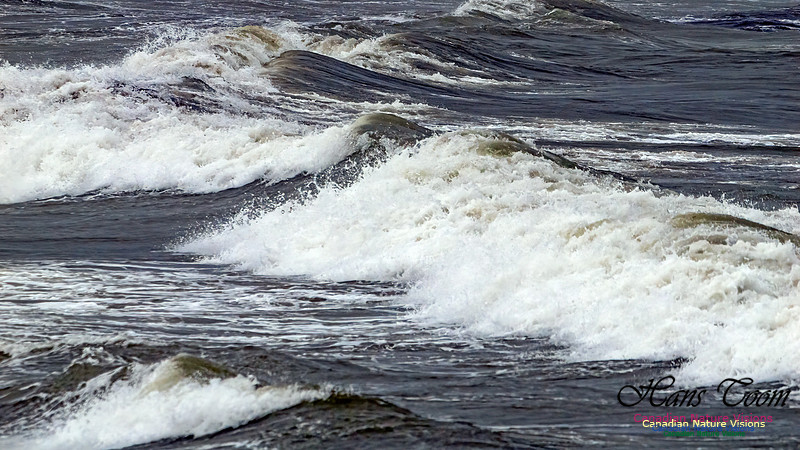 December Gale 101