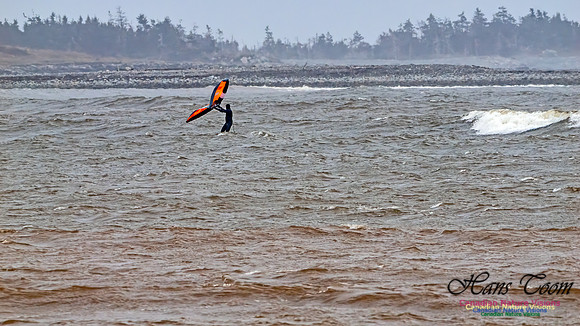 December Gale 100