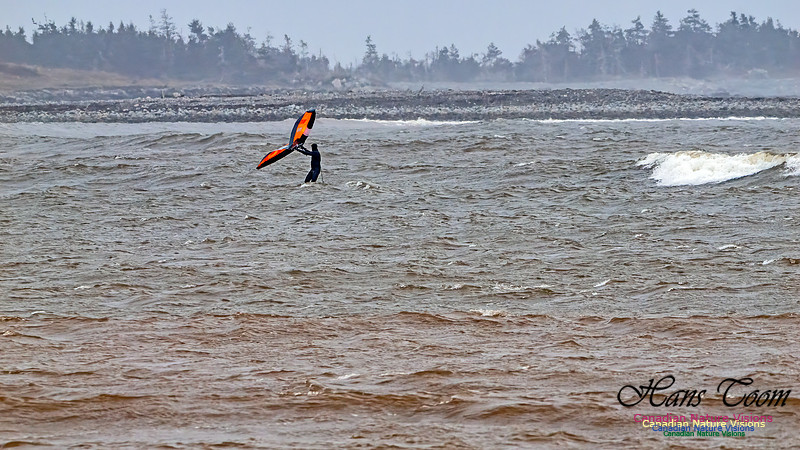 December Gale 100