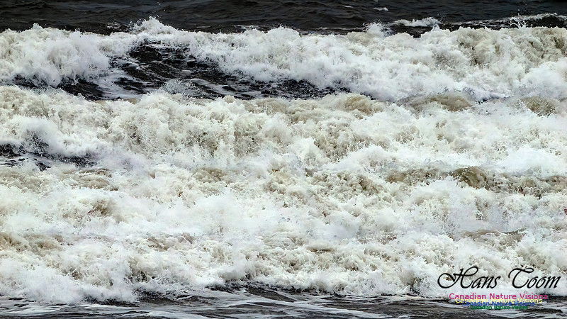 December Gale 170