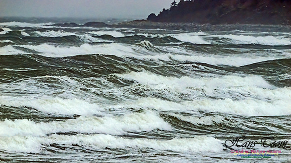 December Gale 103