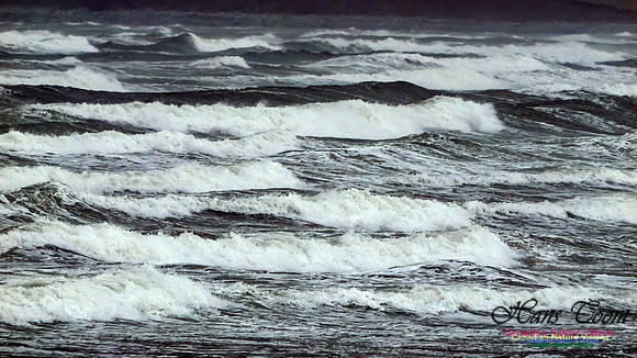 December Gale 104