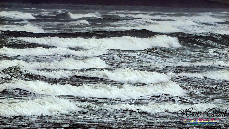 December Gale 104