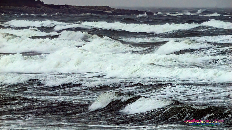 December Gale 105