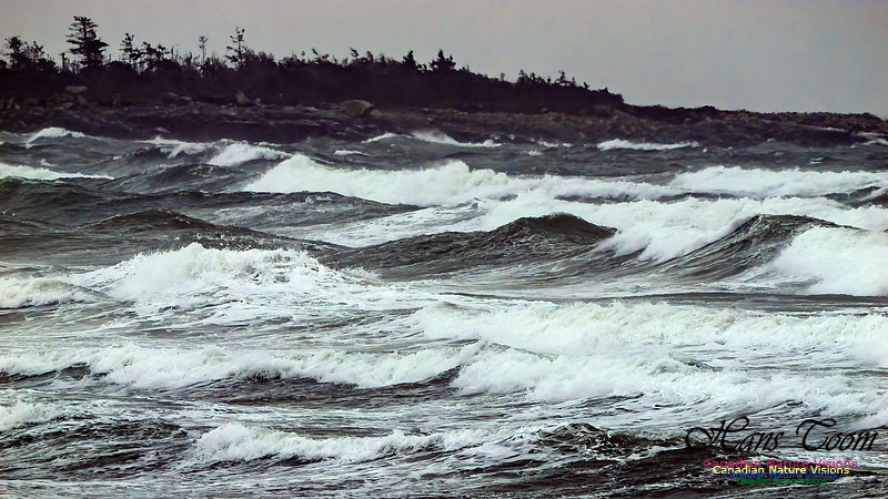 December Gale 106