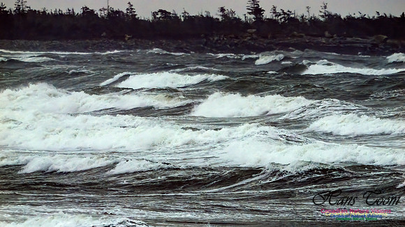 December Gale 107