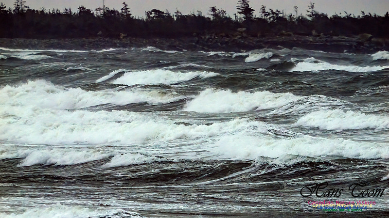 December Gale 107