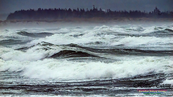 December Gale 108