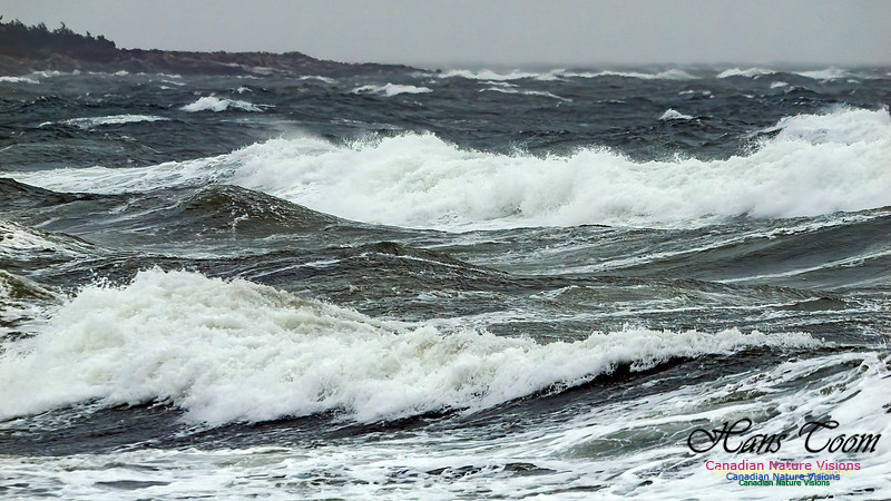December Gale 111