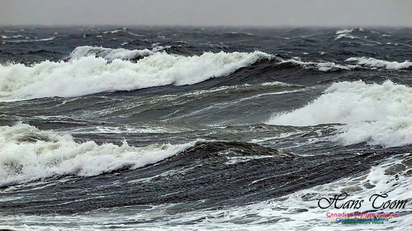 December Gale 112