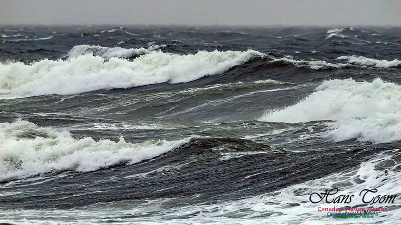 December Gale 112