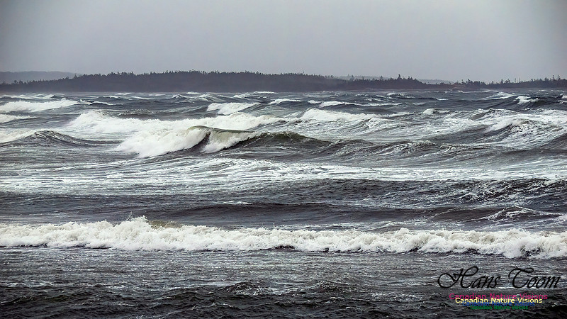 December Gale 113