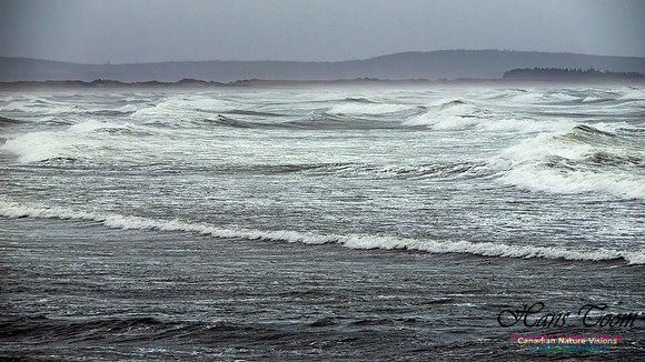 December Gale 115