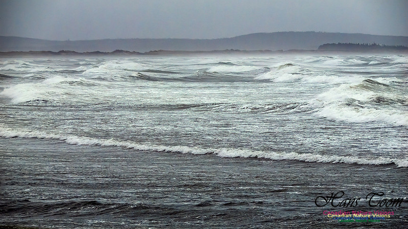 December Gale 115