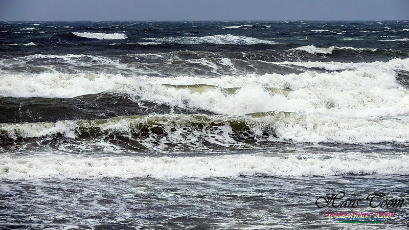 December Gale 118