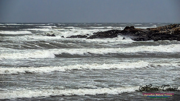 December Gale 119