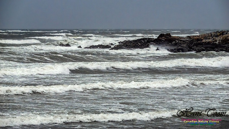 December Gale 119