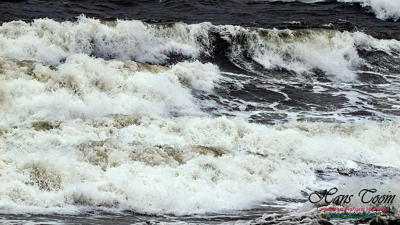 December Gale 120