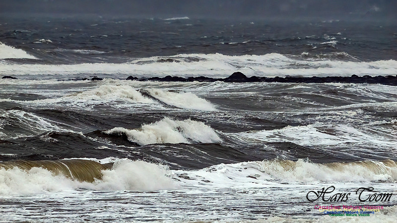December Gale 121
