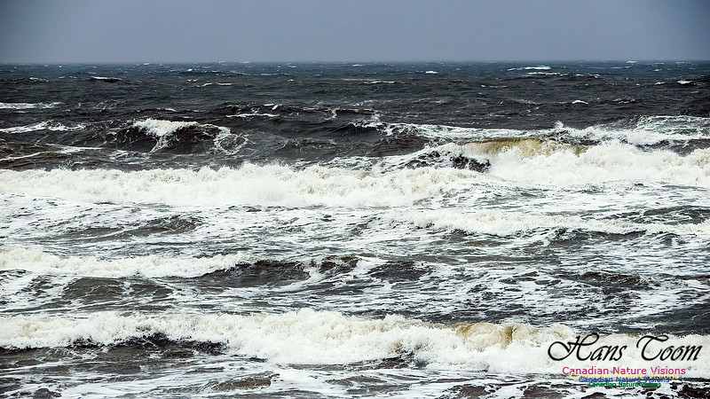 December Gale 124