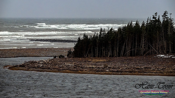 December Gale 125