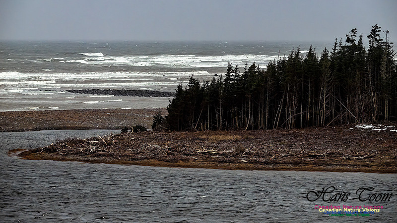 December Gale 125