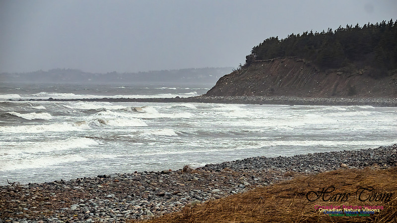 December Gale 123