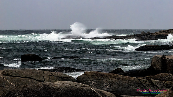 December Gale 132