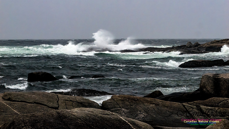 December Gale 132