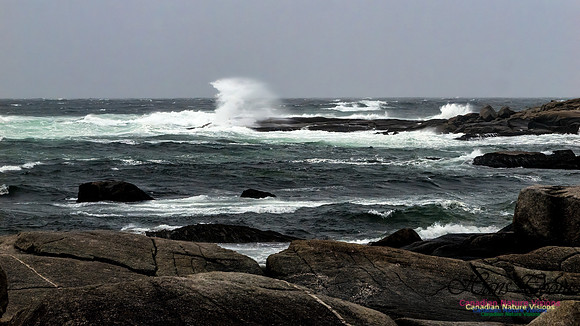 December Gale 134