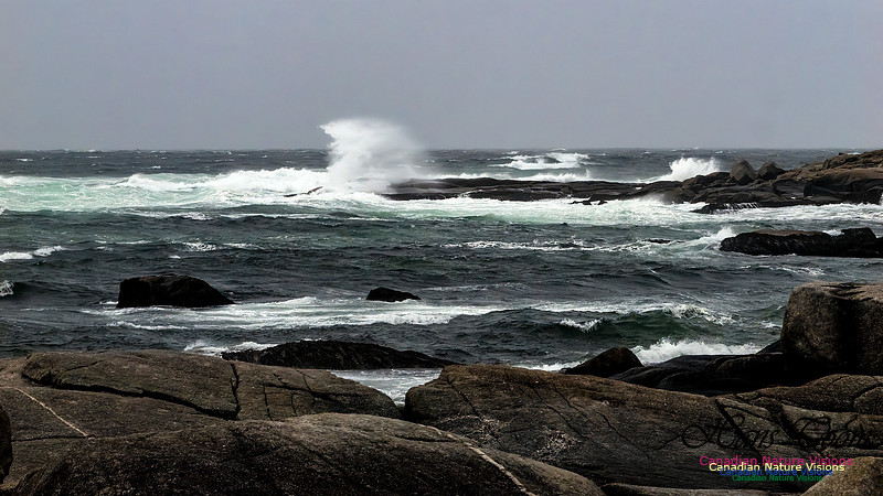 December Gale 134