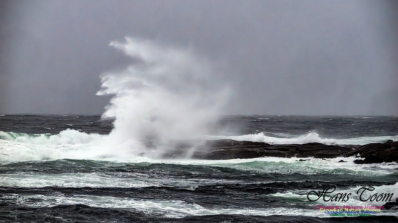 December Gale 135