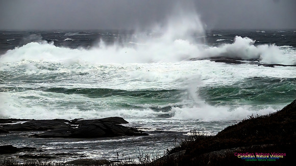 December Gale 138