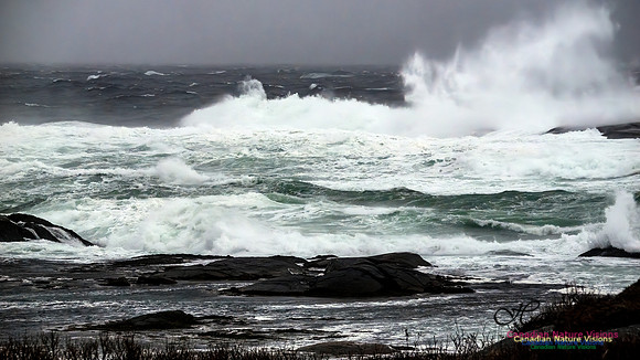 December Gale 139