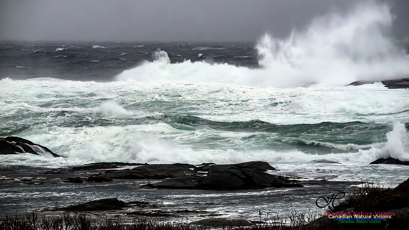 December Gale 139
