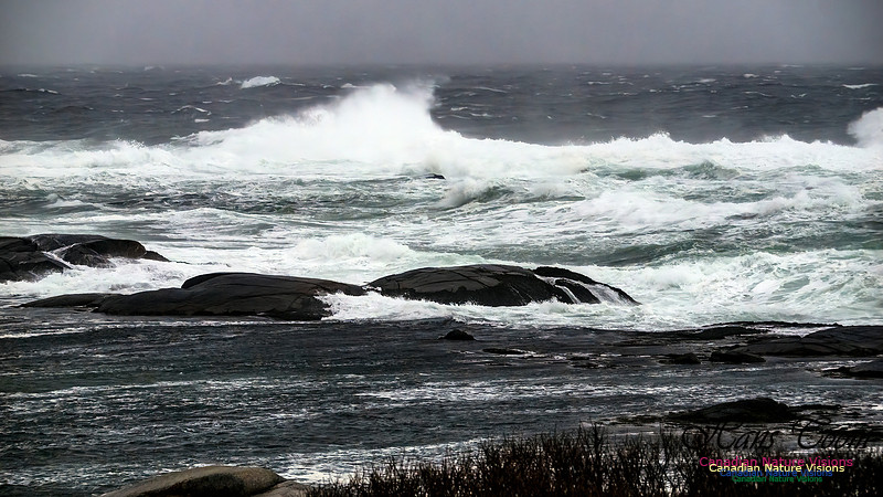 December Gale 140