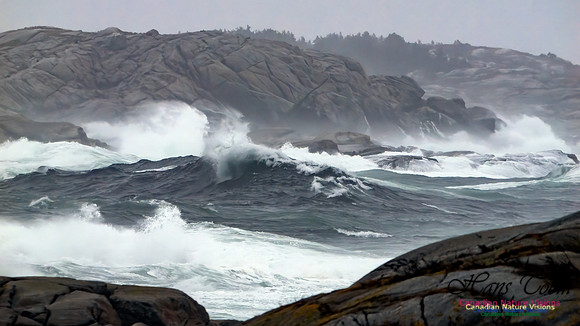 December Gale 141
