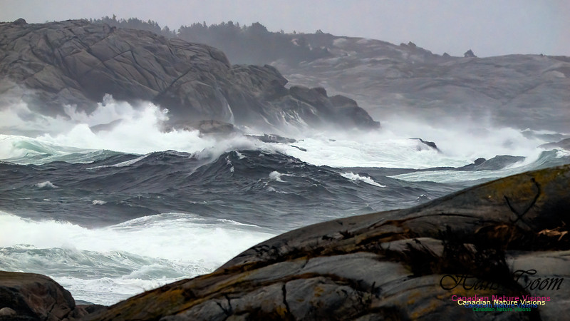 December Gale 142