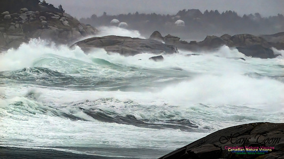 December Gale 143