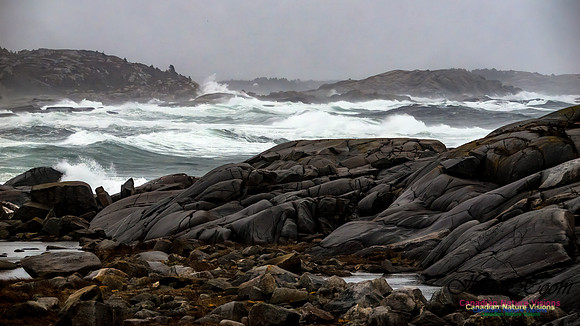December Gale 144