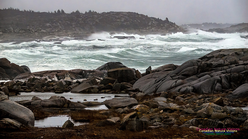December Gale 145