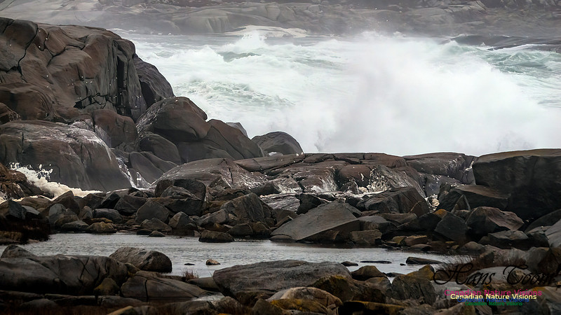 December Gale 153