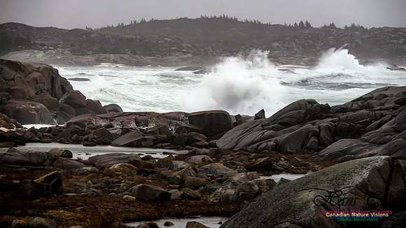 December Gale 154
