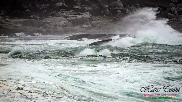 December Gale 155