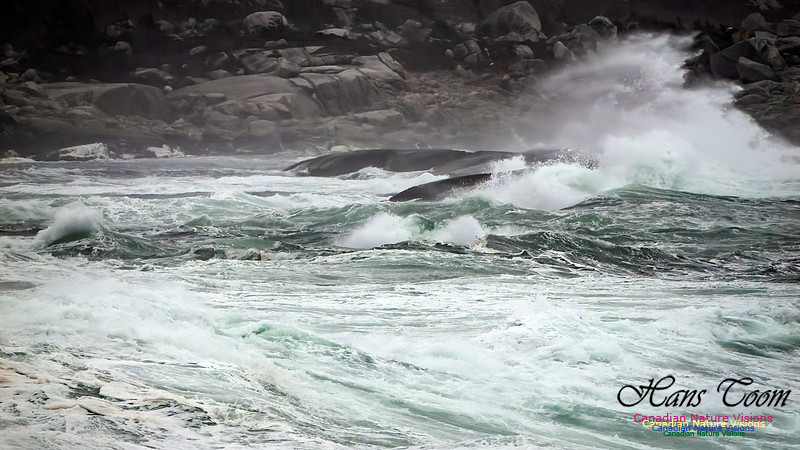 December Gale 155