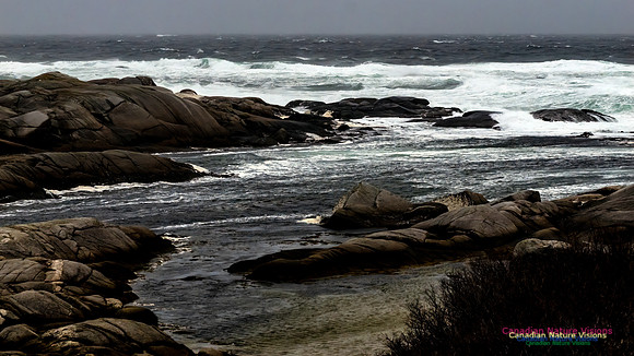 December Gale 160