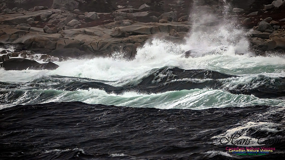 December Gale 159