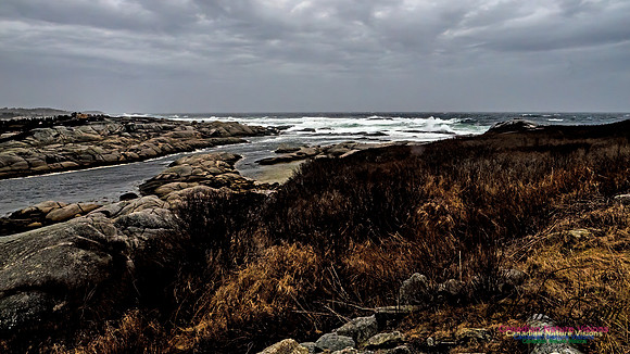 December Gale 161