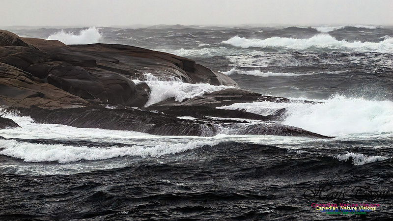 December Gale 163