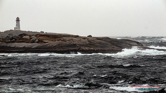December Gale 162